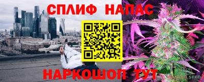 дурь Сланцы