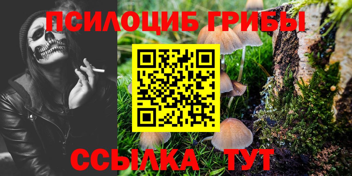 Галлюциногенные грибы Cubensis Новокубанск