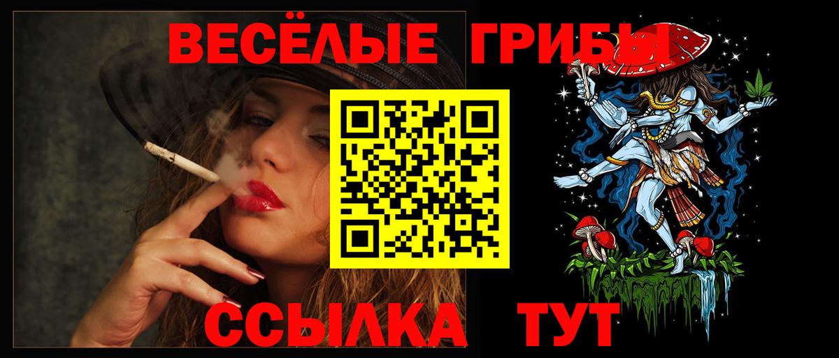 Псилоцибиновые грибы Magic Shrooms  Вход с VPN  Новокубанск 